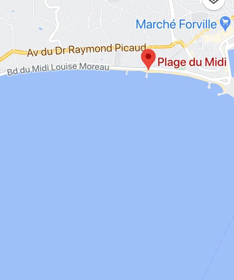 Appartement Rooftop, Premiere Ligne, Vue Mer, 50M De Plage Du Midi 戛纳 外观 照片